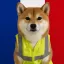 Coin image for 8AfewWtSZRpY4JffacMDRfUiHuGJDe8HawpxDh4ypump