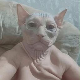 Coin image for 8AhbNHj3HBGvMKSKdnREmUMdtphpuGve3SNXvx5Fpump