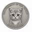 Coin image for 8B7d61fdkKFWhkcSBPbPbq2aeCHeBYePQGw51BmBpump