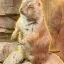 Coin image for 8BFFkbymozGMJCM8KgUXMXq6EvSsFTxtKsQ8GPNTpump