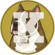 Coin image for 8BdDnRCCmSAK78Lkewpn9MPZbbWq5KuuBbnJHcT3pump