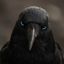 Coin image for 8CJGq96zzY14FFjHPPDv33emyYY5xTqkowkxYN5Dpump