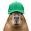 Coin image for 8CSny9HWEqF5vqcjEgSYaafXH2kT1Gasz2xe2zPLnjGd