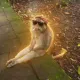 Coin image for 8DwnkHM3ukcwzAvonUUarCHoaTy2UUQqHcvanFGWpump
