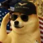 Coin image for 8F1CXfnooPSiiL7vmxEcbVBHq3FUR8zZNzkx6Ef4JWMh