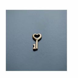 Coin image for 8GFt3wNrycEh3KeKyALLNPHDubMqgHR71ZWva5a7pump