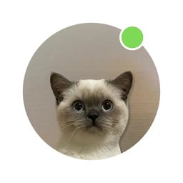 Coin image for 8GoqNAmJB61CYFnuq9rLXpbBomNrZcw1HArceUmFpump