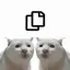 Coin image for 8HCu5ScjAWxcNGDDhr7xr8NWpacyXy3UHrEJCkBRpump