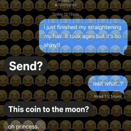 Coin image for 8JBLcqFmSa9hsyecCocE4iAT1auwxR5eXDLQ6Sjqpump