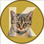 Coin image for 8JqjSbjRykaQsRmu7dxudohBJaZbMP4B8m45bKBEpump