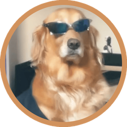 Coin image for 8KSJrGTGWW68pzns1nSdf6M8ckpYzhYvvwFbR5YNpump
