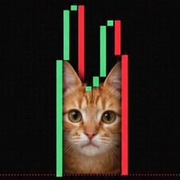 Coin image for 8KSYHQtf5zcstCEz4LSgBHDXGWsWMgfTFdZPySPxpump