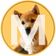 Coin image for 8KbB6b8uHV3bYd3AJA5nm5vNSqXf29veBVAm91Lpump