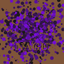 Coin image for 8LJyi7egfSCTUjrzyKFqDK2DGNSpLfZ5YuxdhHhZpump