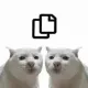 Coin image for 8LL1GCmEeQ47wzusgjQZFWiPCJxzJTGr8imosrCFbsiP