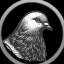 Coin image for 8LP3J8NHndJnnTjbW1ruN5hu45FdcUd5c8sX6sRkpC9H