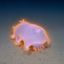 Coin image for 8LUEkrBDXVSkWw3LdALA4Zmu9fg898yFfcHqUnkZpump