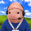 Coin image for 8LfkNFjQCVmmnSWzarhpqiytmtr5QLB4MJcQHmbJy69W