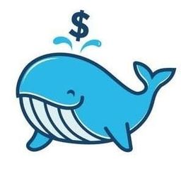 Coin image for 8MBC9Ar529LTtSjGT756xwUutivSCitztgiHMkM4pump