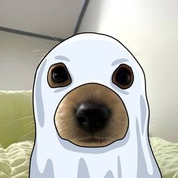 Coin image for 8MEFta4etbZs3gHeFUNXsuuuydSSmUtetQTU64w5pump
