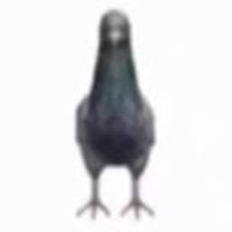 Coin image for 8PVyjbjaZX8Lj91M2Cn7LEeeofQLdN2eN7YFzcuHpump