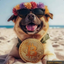 Coin image for 8PYDRxrSNbuiiwabc1Qos4QkciNUf4vC8gyVD37n4Bxk
