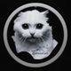 Coin image for 8PcH5txrco8zQCLSY8xuNeaeDGiWWNCGsfH9fUrBMMZ