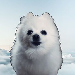 Coin image for 8PdWYs49UTFWzYQ75RnEcs8Eu3J6Qg24iPyfGUnxpump