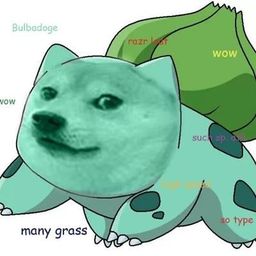 Coin image for 8QKJaWMW4zLMzAkyzz5XHE7GVfGHHSVSyofeHGEYpump