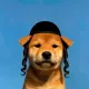 Coin image for 8QUUU3DJ19WyevEx4pqQsVwwtRDiQqZxkoBAFB5jpump