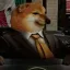Coin image for 8Qherby96bXkQaYojjCwvic7so1m3MuAGCP5NsfhmsQW