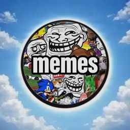 Coin image for 8QyzxhqMjgEtF218M1xunrELrReNgM4Enivfy31zpump