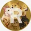 Coin image for 8RfZnnx1kKEX8xgFEscb2kJb6xCcrFL2MwR5Hqiepump