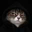 Coin image for 8RpGXrDoKrWhC1i26sa7LJPzgQhpWHqsQJ9JxbRJpump