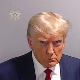 Coin image for 8S5evFjvx6ADLUntkFnS5AZh3kVCoo7ZPeJDXddkpump