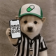 Coin image for 8U1iFDYViihDMwwVY2TtYt9gBj99LmSy94BYfqKETapQ