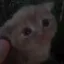 Coin image for 8U6JKnquiXHG6YNU5kqqFQTtaGfCTSWDwYCx1S8dafeJ