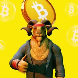Coin image for 8UCM6vPAP4ieACXWwCDWQmjPVa3tauKuMiHGKVjUs2YQ