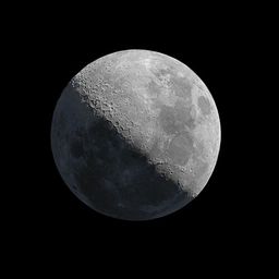 Coin image for 8UXjv4ezvNET6RPYFx6zdXxqjFJarDBX8WqjQZPepump