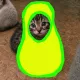 Coin image for 8VQaMyx1DXd3syRJSxETknFEpDBWPvYWyBFhnGwUpump