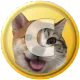 Coin image for 8VjbYV9WcE5vYeqJR7bJn3CAEX8o5jsPSJQcDDiDpump