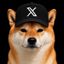 Coin image for 8VwMSKDmK7CkH5te6sokcXtqoxgH6De6rFFepQSEpump