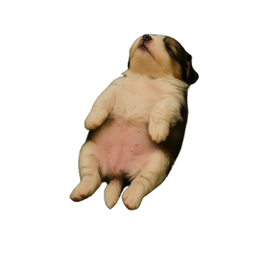 Coin image for 8XbQsKCtzwZL9S2pepd6K45MpfFJThgVwxKpVCi3pump