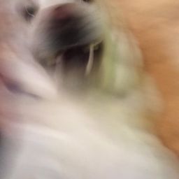 Coin image for 8XnGhbbd4PpDZKMz6ta7Xzw2EMLJNGqVS4SCPkhepump