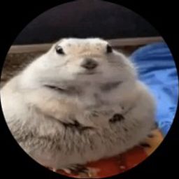 Coin image for 8XwgZXP6aU1RYtqVedY84iBUkYxjwhiaQ67pnoCxpump
