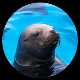 Coin image for 8YDBhU5ZakA7bXVgQxSbpAw3ByqpYraBdBPySGYJpump