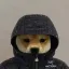 Coin image for 8aCWR4o8NBNVgFoNPQLqyAchbQWvXq2UArYnvecQpump