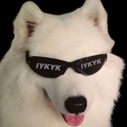Coin image for 8aegxT2H4Hax4DHhSXYASf9PxeMKogczrf1DkHT3pump