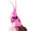 Coin image for 8badswKtVajg5L1nHKCabkCwoFXBwK1CfuEMbQ8Vpump