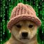 Coin image for 8bagfFPRgnc2kE5Lu6udZY1A3WaN2MvVjGNVrKFXpump